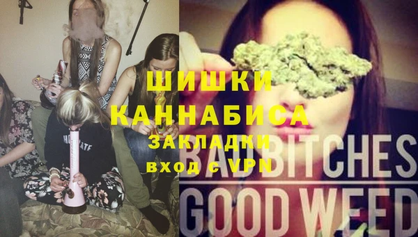 шишки Алексеевка