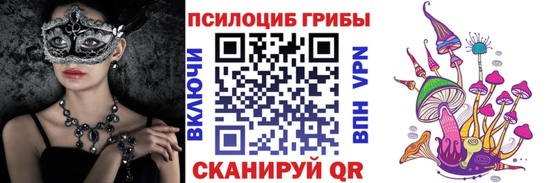 Псилоцибиновые грибы Magic Shrooms наркошоп Новокубанск