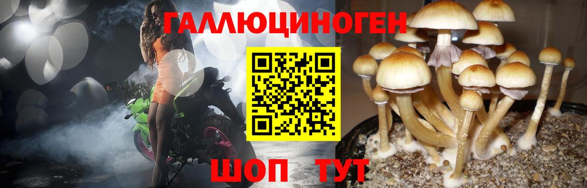 Галлюциногенные грибы мицелий  Вход с VPN  Новокубанск 